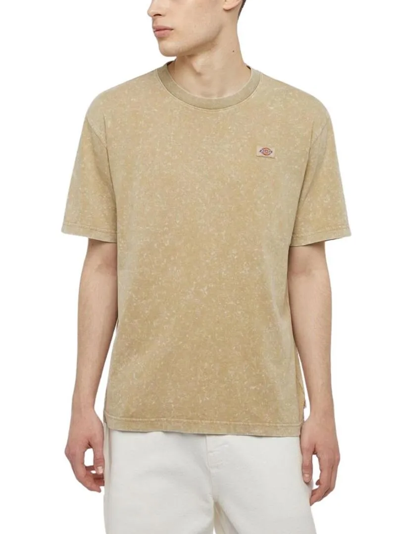 Maglietta Dickies Newington Tee Beige per Uomo